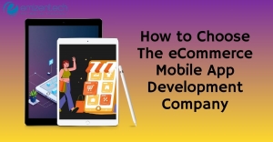 How to Choose the eCommerce Mobile App Development Company for Your Online Business