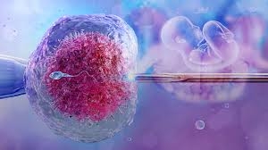 IVF and Anxiety: How to Stay Positive on Your Fertility Journey