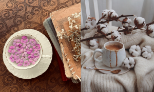 Embracing Comfort and Style with the Cup Petal Cotton Cover