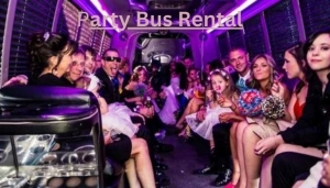 Party Bus Vibes: Affordable and Stylish Party Bus Rentals