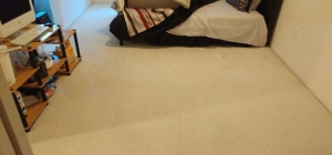 Area Rug Cleaning Toronto – Trusted Care by Majestic Carpet Cleaning 