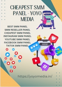 Why Low Cost SMM Panels Are a Game : YoYo Media