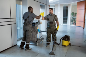 Expert Professional Cleaning Services in Rockville, MD: Tips for Keeping Your Home or Business Clean and Healthy