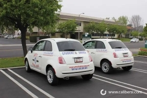 From Design to Drive: Creating Eye-Catching Vehicle Graphics