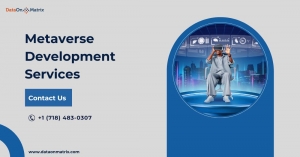 Metaverse Development Services