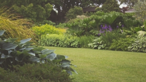 Sunlight Water & Us Shares Tree and Shrub Care Made Affordable
