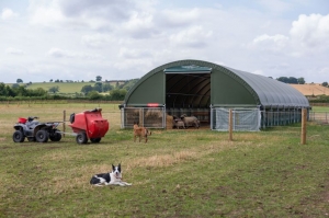 Polytunnels for sheep: Peak lambing season made easier