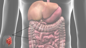 Trusted Names in Digestive Surgery: Best Gastrointestinal Surgeons in Jaipur