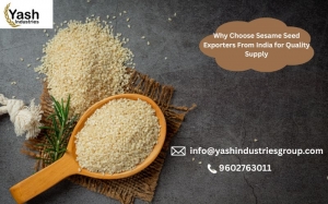 Why Choose Sesame Seed Exporters From India for Quality Supply