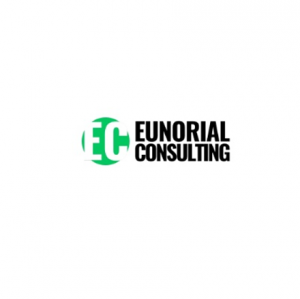 Why Professional Web Design Services in Toronto Are Key to Small Business Success
