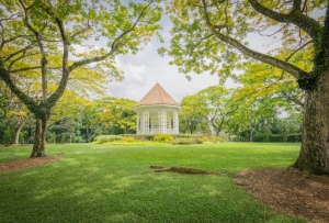 Role of Local Governments in Protecting Green Spaces?