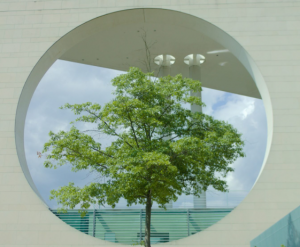 Unlock Growth with Our Sustainability Consulting Services for Businesses: Transform Your Company’s Impact