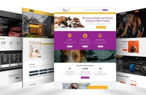 The Art and Science of Web Design: Elevating Your Brand Online