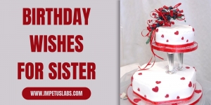 Funny Heart Touching Birthday Wishes for Sister in Hindi