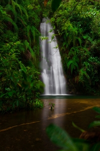 Affordable Meghalaya Tour Package Cost & Travel Deals