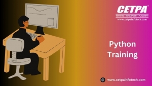 Unlocking Your Future: The Ultimate Guide to a Python Course in Delhi