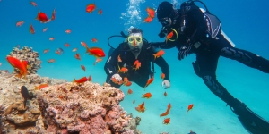 Koh Tao Diving Adventures: Explore Thailand’s Best Underwater Spots