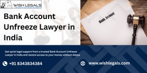 Bank Account Unfreeze Lawyer in India | Wish Legals