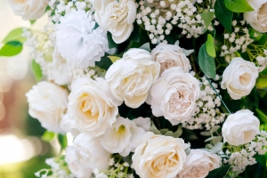 Why Are Intimate Wedding Venues Becoming the Top Choice for Couples?