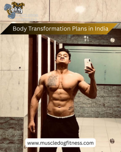 Bodybuilding Steroid Provider in India – What You Should Know Before Trusting Anyone 