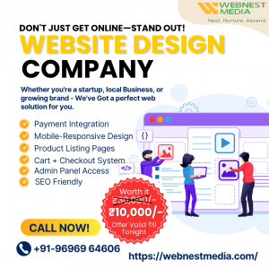 Professional Web Development Services in Today’s Digital Era