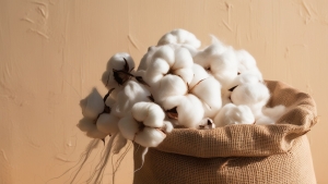 Cotton Price Index 2025: Chart Analysis and Industry Trends