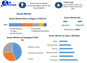 Sauces Industry Report: Industry Size, CAGR, Trends, and Future Projections (2024-2030)