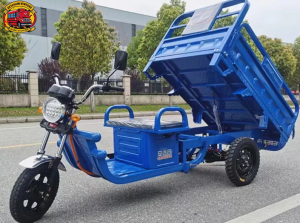 Finding Value and Reliability: A Complete Guide to Buying a Used Tricycle