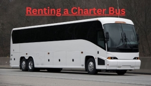 Benefits of Renting a Charter Bus for Different occasions 