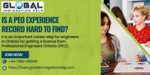 Is a PEO Experience Record Hard to Find?