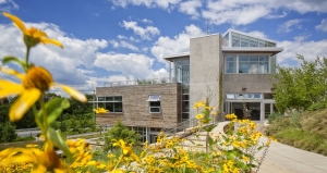 How to Communicate Your Vision Effectively with Building Design Services Experts