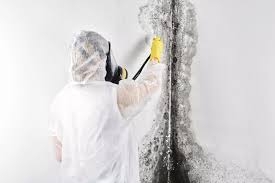 Mold Removal Wichita KS: Trusted Services by Christian Cleaning & Restoration