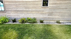 Lawn Care in Bozeman: Practical Tips and Trusted Advice from Local Experts!