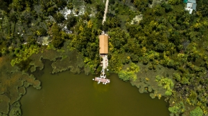 Digging Ecological Advantages Of Tambopata Jungle Lodge