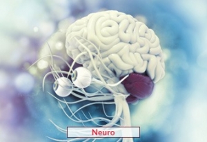 Neurology Treatment in India – Advanced Care with EdhaCare