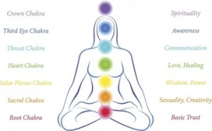 Holistic Wellness Through Reiki Energy Work Worcester MA