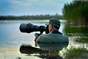 Best 5 Wildlife Photography Destinations in India