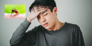 How to Protect Yourself and Your Family from Dengue Fever