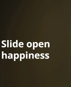 Openable vs Sliding Doors:  Which One is better for Living Rooms