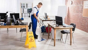 What Techniques Do Carpet Cleaning Services Use to Remove Stains and Odours?