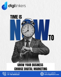 Best Digital Marketing Agency in Delhi – Grow Your Business with Digilinkers