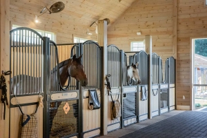 Horses Stall: A Guide to Understanding and Caring for Your Equine Companion