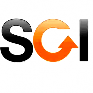 Business Consultant: Helping Organizations Navigate Growth and Change