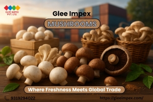 Glee Impex Pvt. Ltd. – The Leading Export Company in India for High-Quality Mushrooms
