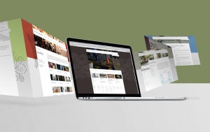 Common Myths About Web Design Companies Debunked