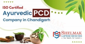 Start Your Business with Ayurvedic PCD Company in Chandigarh - Shelmak Lifesciences