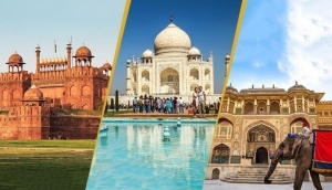 Beyond the Brochure: The Insider’s Guide to the Golden Triangle