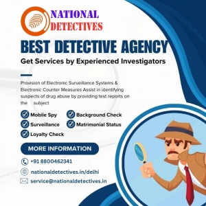 Can a Private Detective in Delhi Reveal Secret Assets?