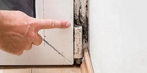 Mold Solutions That Work for People Who Live on the Sunshine Coast