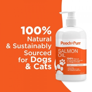 How to Introduce Salmon Oil to Your Dog’s Diet Without Upsetting Their Stomach